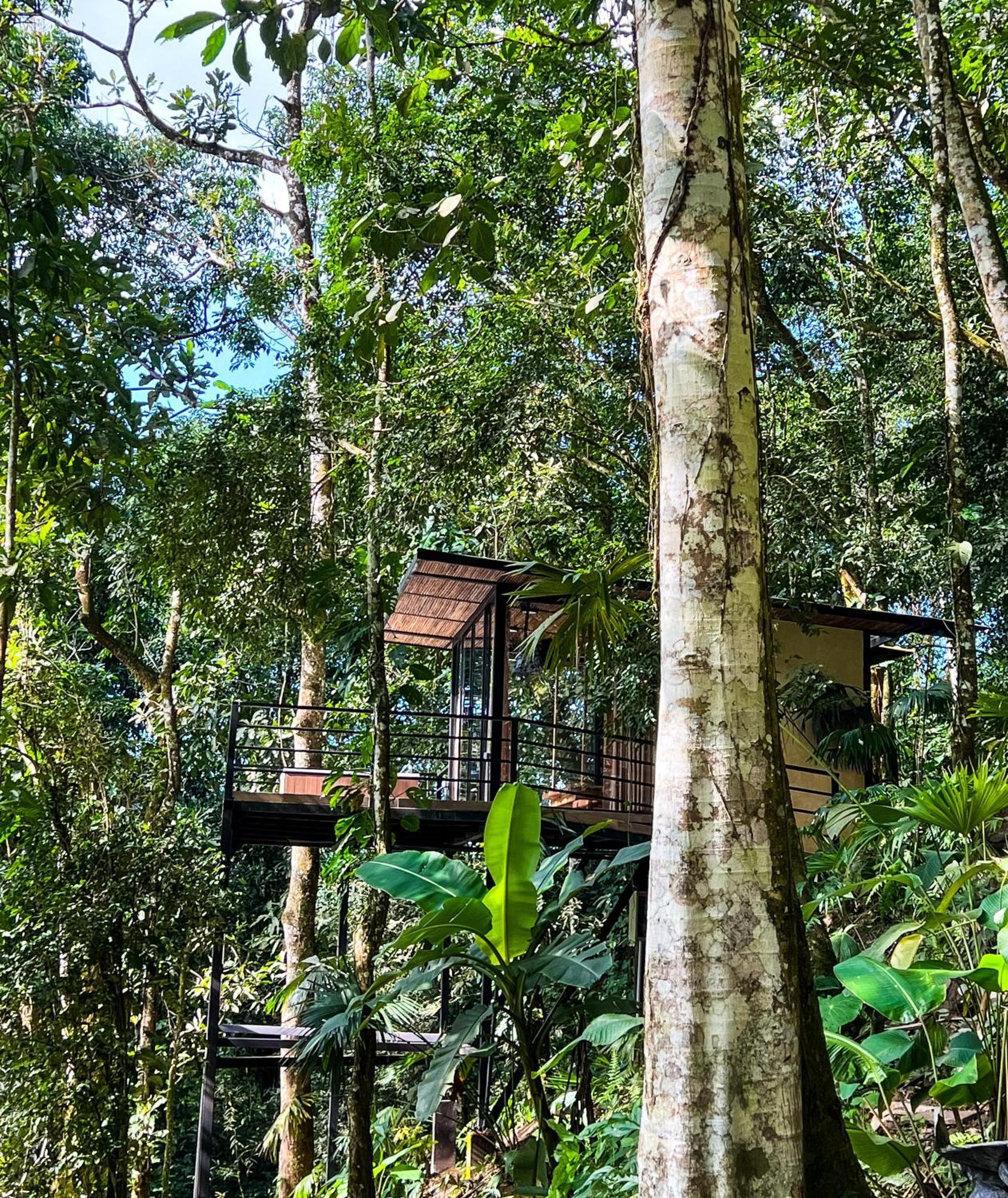 Rincon De La Sierra Minca Hotel Exterior photo